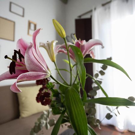 セビリア Casa Del Siglo XVIIヴィラ エクステリア 写真