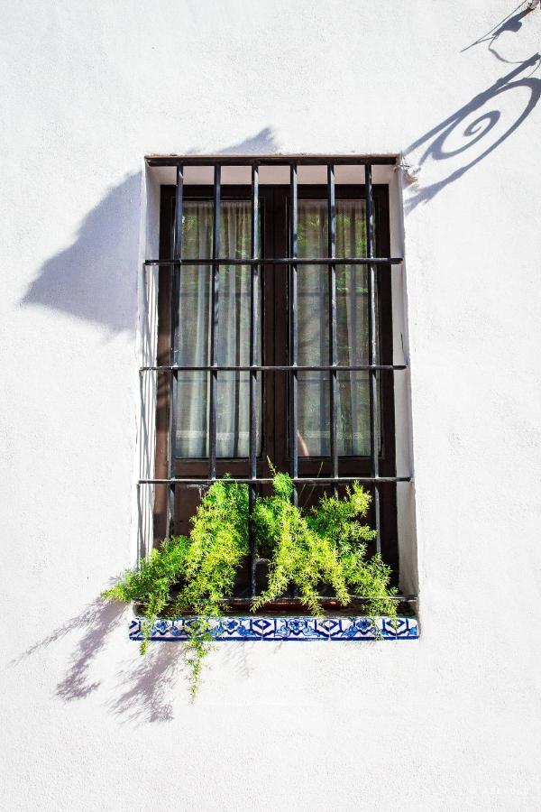 セビリア Casa Del Siglo XVIIヴィラ エクステリア 写真