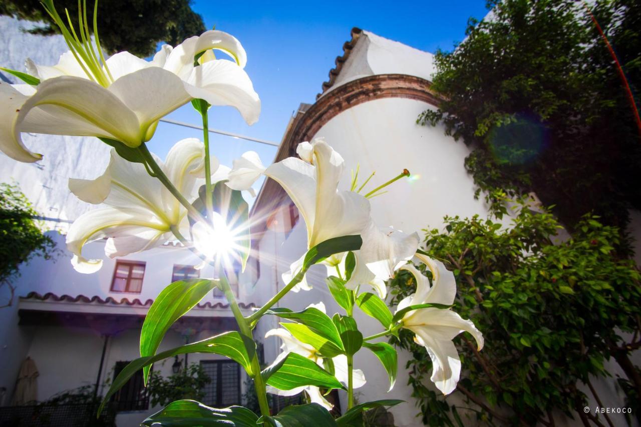 セビリア Casa Del Siglo XVIIヴィラ エクステリア 写真